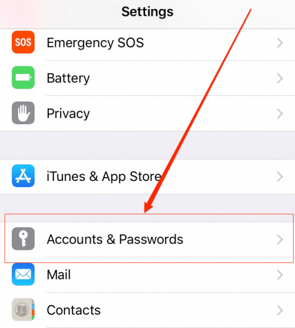 Account & passwords iOS 11