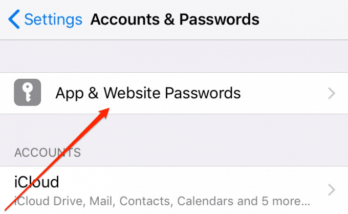App & website passwords iOS 11