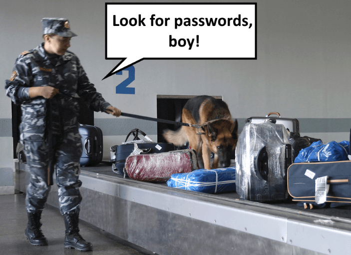 Passwords at Border Control