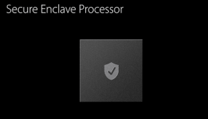 Secure enclave processor