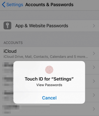 Touch ID view passwords iOS 11