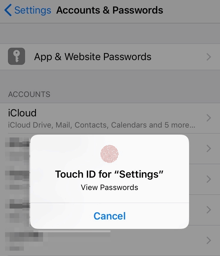 manage icloud passwords keychain