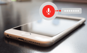 Voice Password for Mobile Devices